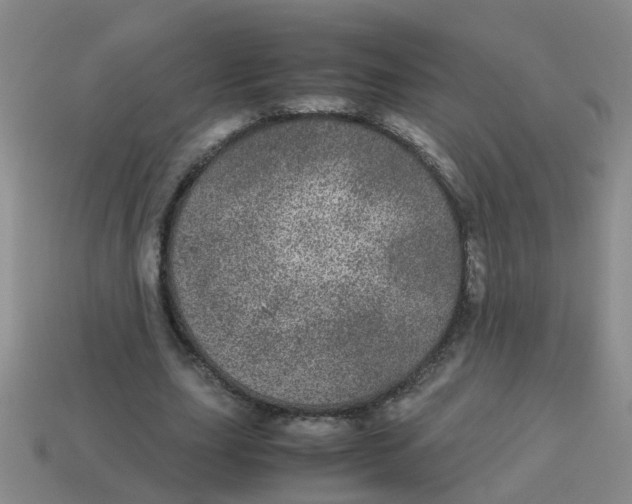 X0000113560631200910161457