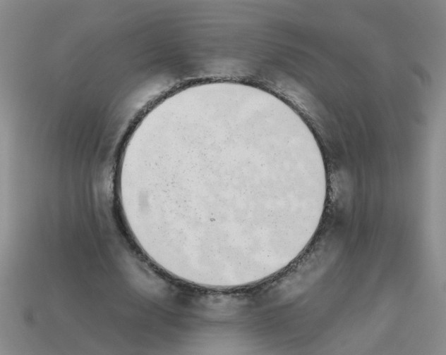 X0000113560632200910161457