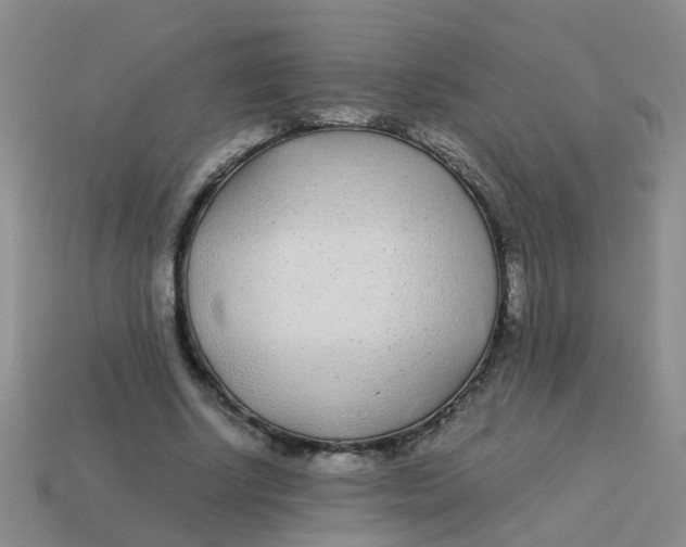 X0000113560634200910161457