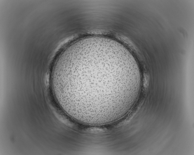 X0000113560636200910161457