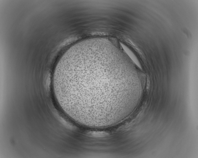 X0000113560637200910161457