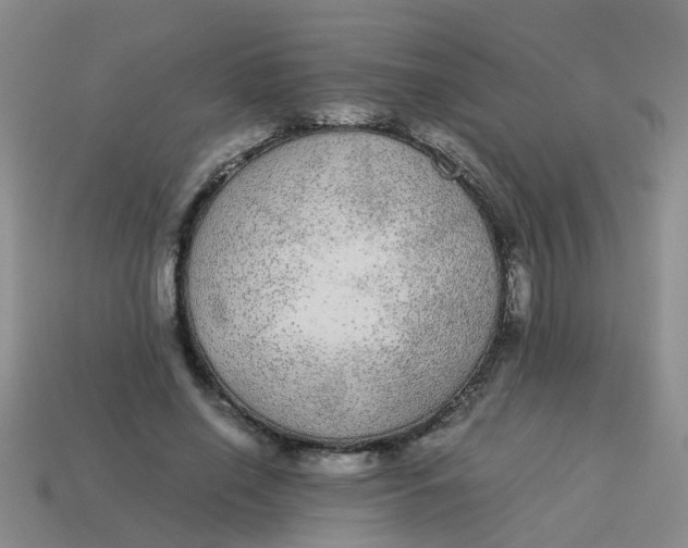X0000113560638200910161457