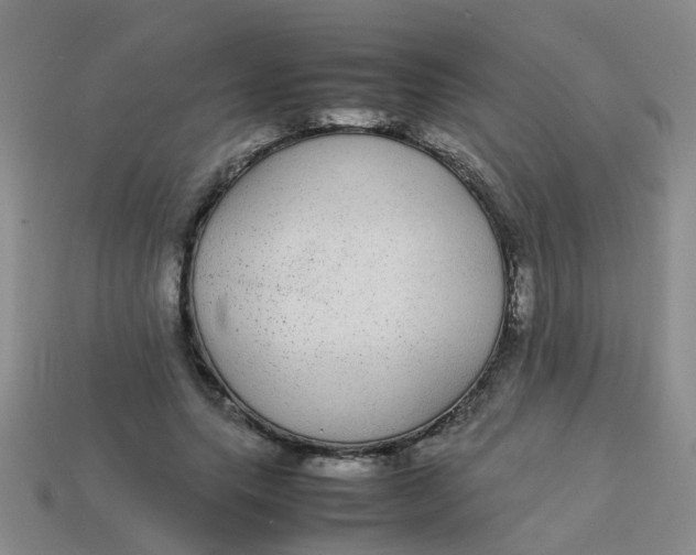 X0000113560639200910161457