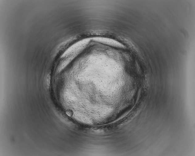 X0000113560640200910161457