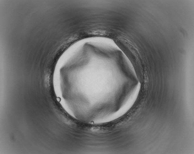 X0000113560641200910161457