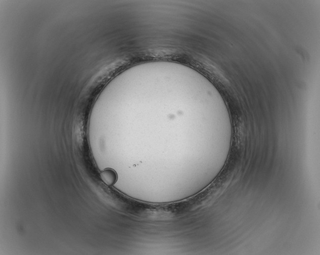 X0000113560644200910161457