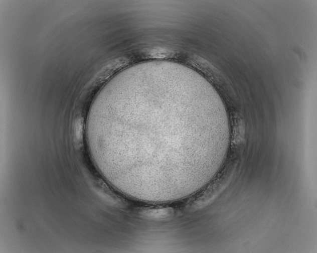 X0000113560646200910161457