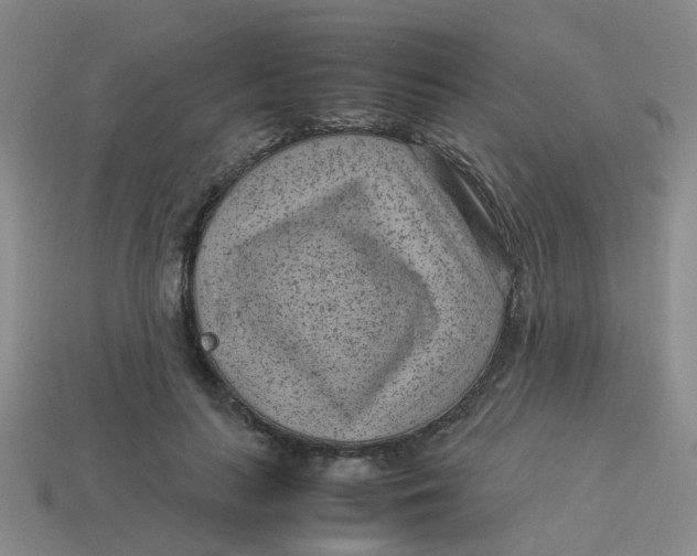X0000113560647200910161457