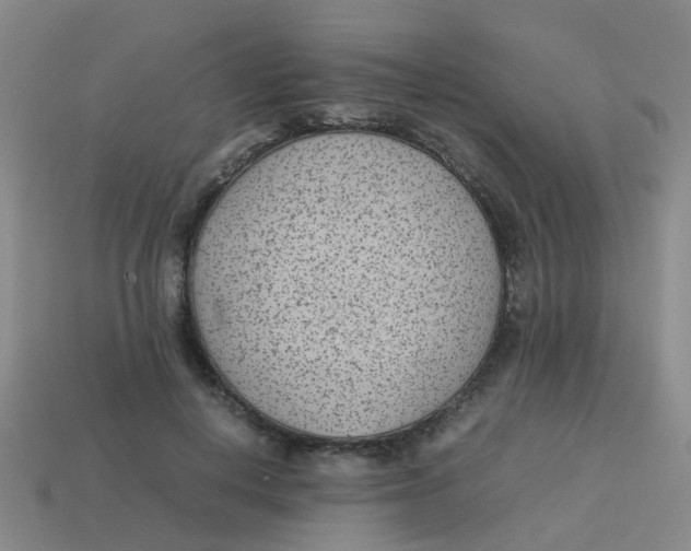 X0000113560648200910161457
