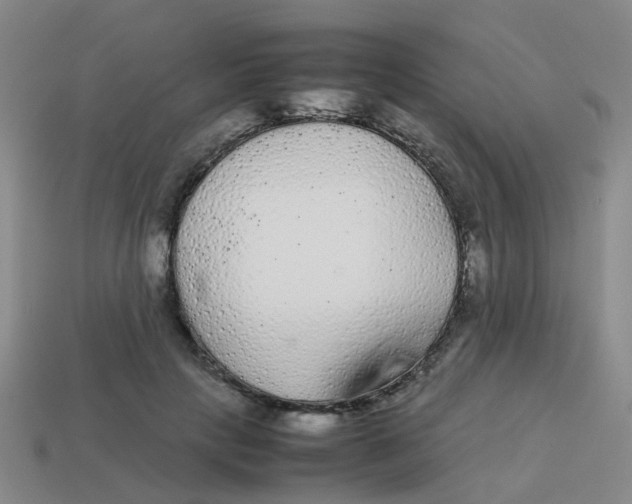X0000113560649200910161457