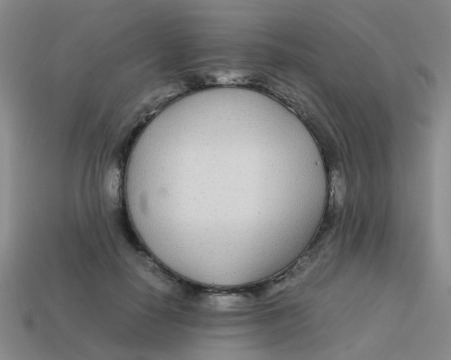 X0000113560650200910161457
