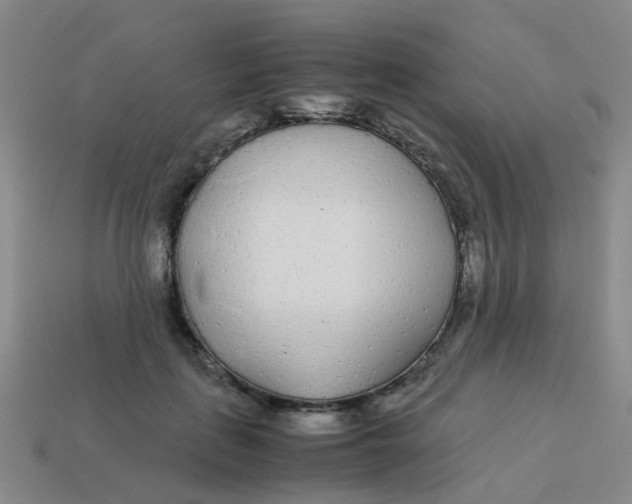 X0000113560651200910161457