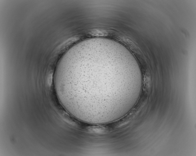 X0000113560652200910161457