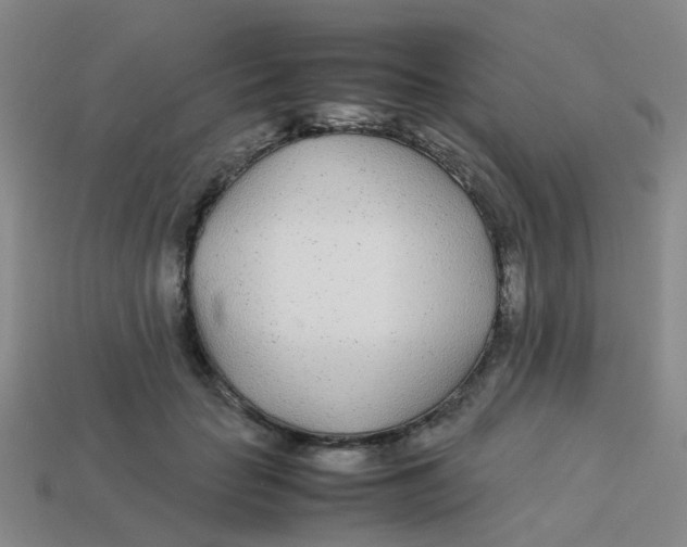 X0000113560653200910161457