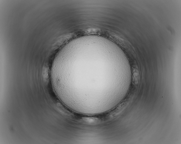 X0000113560654200910161457