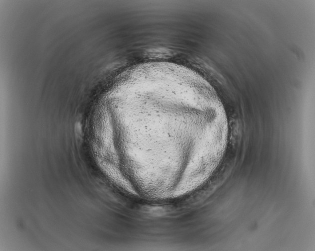 X0000113560655200910161457
