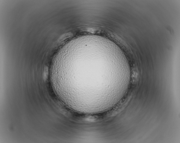 X0000113560656200910161457
