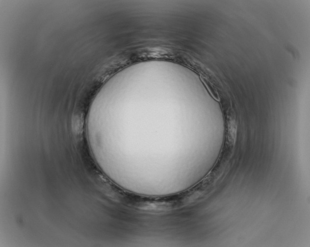 X0000113560657200910161457
