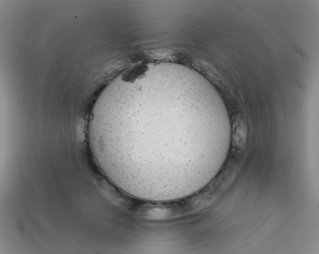 X0000113560658200910161457