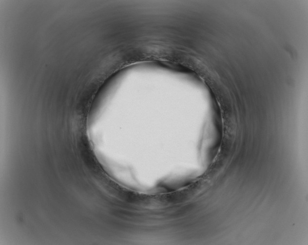 X0000113560659200910161457