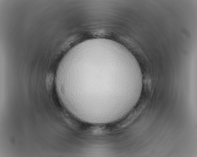 X0000113560660200910161457