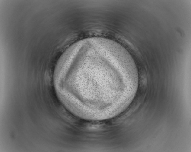 X0000113560661200910161457