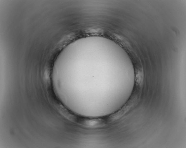 X0000113560662200910161457