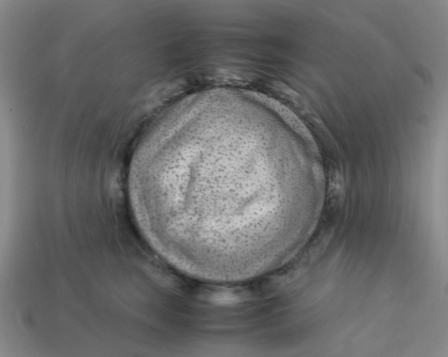 X0000113560663200910161457