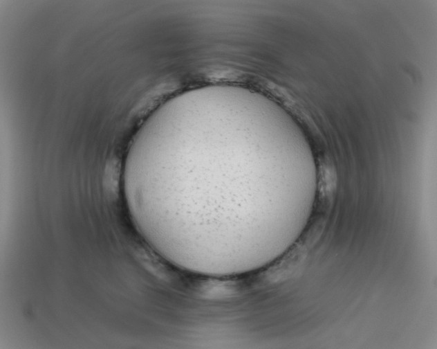X0000113560664200910161457