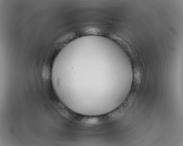 X0000113560665200910161457