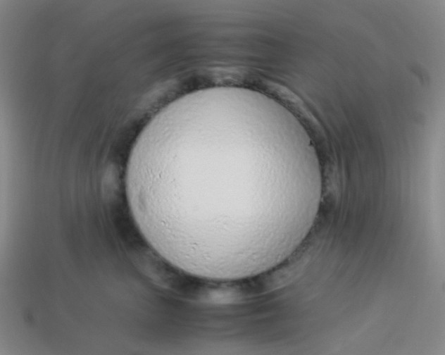 X0000113560667200910161457