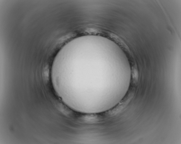 X0000113560668200910161457