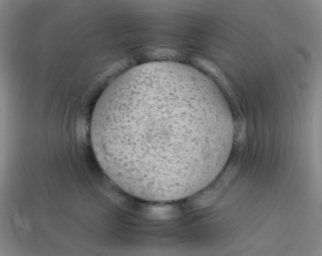 X0000113560669200910161457