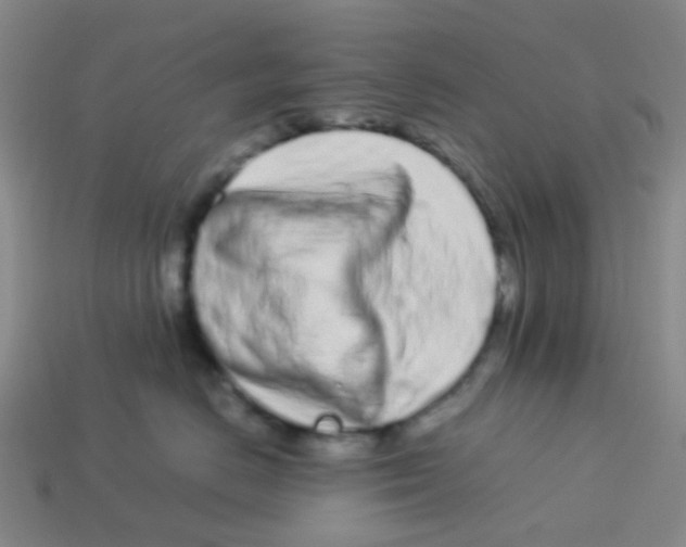 X0000113560670200910161457