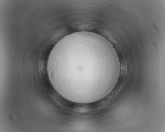 X0000113560671200910161457