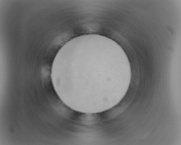 X0000113560672200910161457