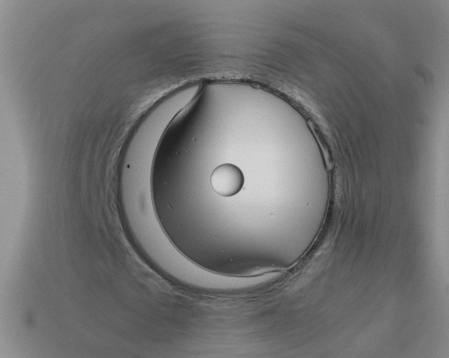 X0000113560673200910161457