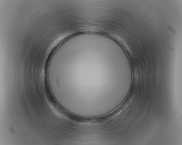 X0000113560674200910161457