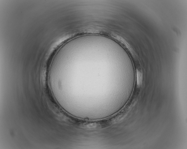 X0000113560675200910161457