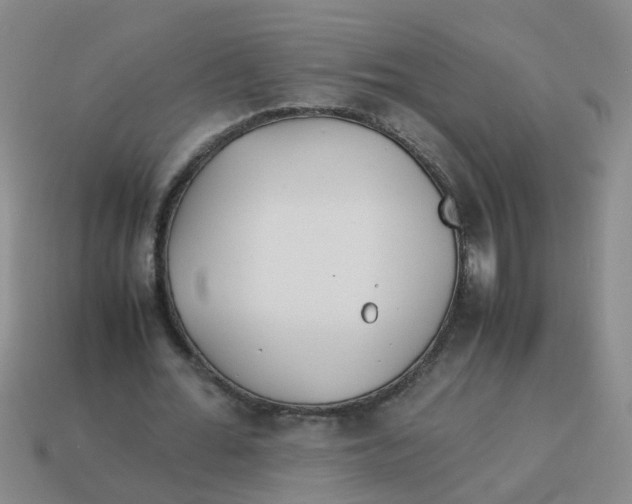 X0000113560676200910161457
