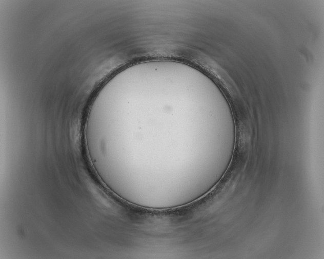 X0000113560677200910161457