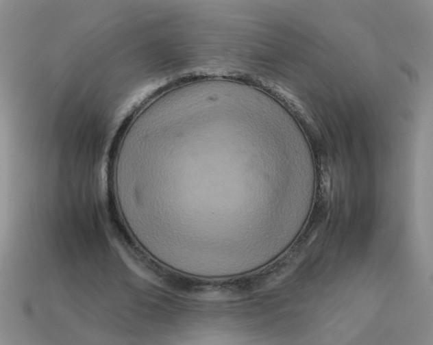 X0000113560678200910161457