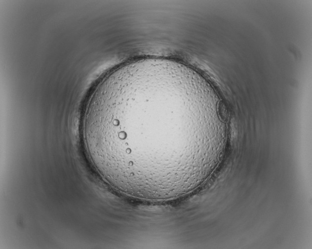 X0000113560679200910161457