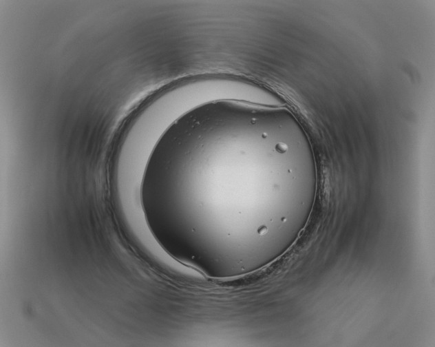 X0000113560680200910161457