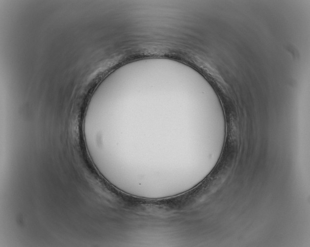 X0000113560681200910161457