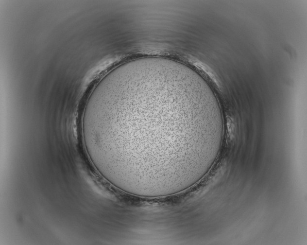 X0000113560682200910161457