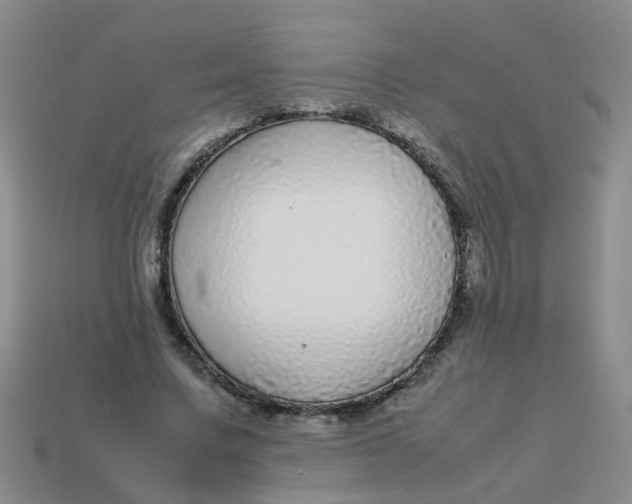 X0000113560683200910161457
