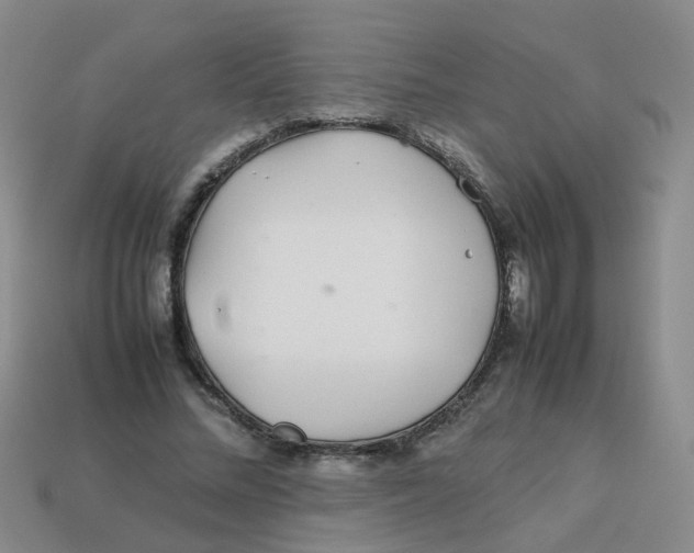 X0000113560684200910161457