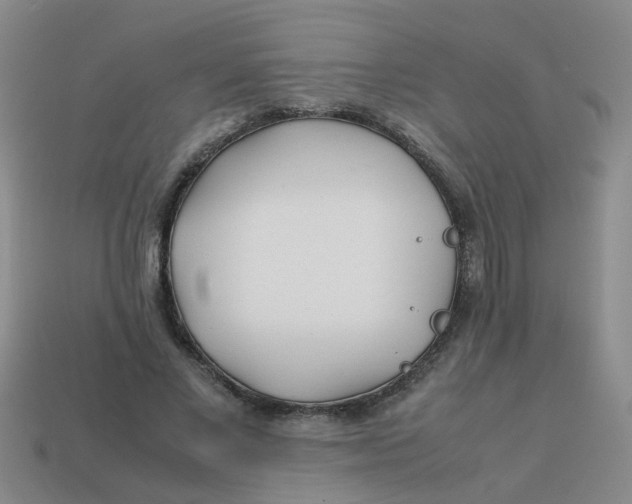 X0000113560685200910161457