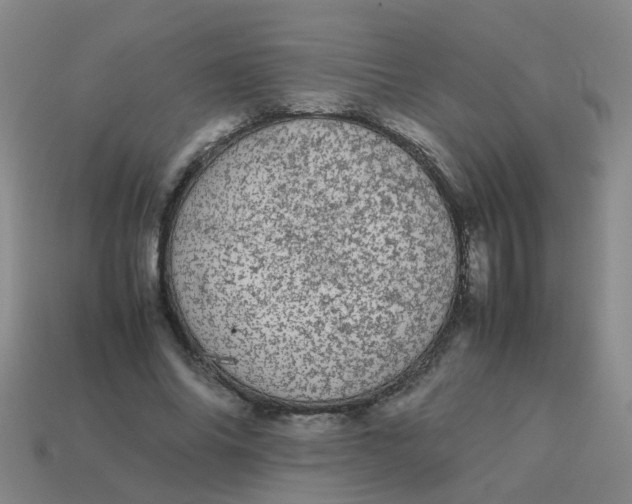 X0000113560686200910161456